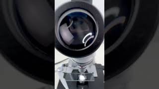 Natto mucus magnified 400 times is surprisingshorts fyp science microscope shortsvideo [upl. by Elenore85]