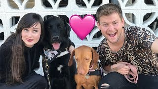 Our Service Dogs Went On A Date live footage W Stella amp Drew Lynch [upl. by Nolrak]