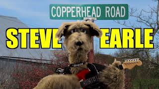 Steve Earle  Copperhead Road  The Underdogs Tribute [upl. by Reyaht]