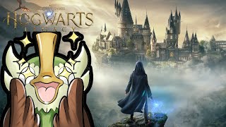 Hogwarts Legacy Deutsch Lets Play 09 Alohomora  Schloss knacken [upl. by Narih443]