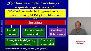 El gusto y los quimiorreceptores intestinales importancia en la fisiología digestiva y metabólica [upl. by Louanna]