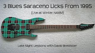 3 Blues Saraceno Licks From 1995 [upl. by Nnylcaj551]