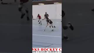 Winnipeg vs kingsi XI Goal Winnipeg Hawks hockey cup live form Calgary Alberta Canada 🇨🇦 [upl. by Nomolos]