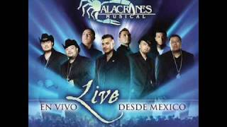 Alacranes Musical quotSin Tu Amorquot En Vivo Desde Mexico [upl. by Haughay]