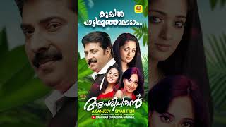 Kuyil Paattin Oonjal Aadan evergreensong superhitmalayalmsongs nostalgicmalayalamsongs 90ssong [upl. by Aihsatan683]