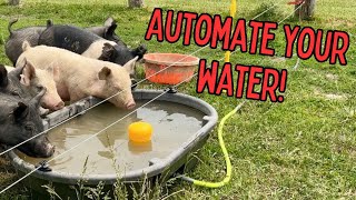 Jobe Megaflow Valves JMFV20DLT 82026 Megaflow Valve 34quot Review  Automate your Livestock water [upl. by Bajaj]