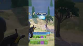 Did this in a 10k tournament 😱 fortnitepro clipfortnite IntelNextGenRumble [upl. by Sheelagh]