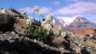 Longyearbyen [upl. by Renner]