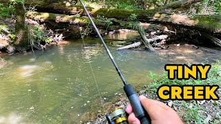 Simplified Creek Ultralight Fishing [upl. by Bracci]