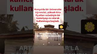 KONYADA BİR ÜNİVERSİTE ÖĞRENCİSİ YÜKSEK KİRA FİYATLARI SEBEBİYLE BİR KAMELYAYI EV OLARAK KULLA [upl. by Eylrac]