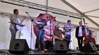 The Grove Band North Wales Bluegrass Festival 2016 [upl. by Crowell]