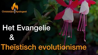 Het Evangelie en theïstisch evolutionisme [upl. by Ecirehs]