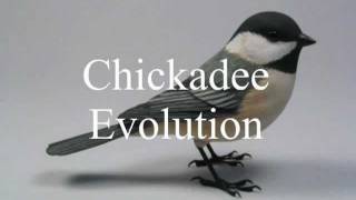 Chickadee Evolution Wood Carving [upl. by Marba]