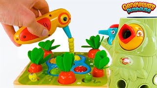 Best Toy Learning Video for Toddlers and Kids  Learn Colors and Counting in the Garden [upl. by Alexine]