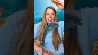 Ocean Animals 🐬 Opposites Song kidssongs kidslearning [upl. by Willette]