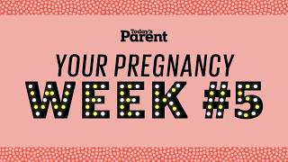 Your pregnancy 5 weeks [upl. by Mavilia]