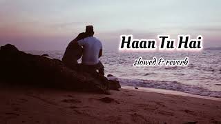 Haan Tu Hain Lyric Video  JannatEmraan Hashmi Sonal ChauhanKKPritamSayeed Quadri [upl. by Herminia]