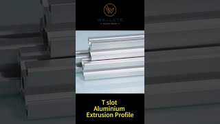 T slot Aluminium Extrusion Profile wellste [upl. by Hylton]