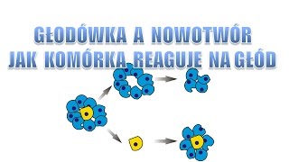 Głodówką w nowotwór  Jak komórka reaguje na głód  Czy quotrakquot to przetrwa [upl. by Florry224]