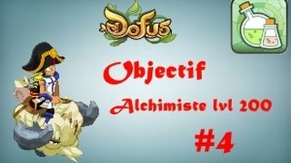 Dofus Monter Alchimiste lvl 200  Ep4 lvl 90 à 120 Maj 229 Du gros bénéfice [upl. by Enavi]