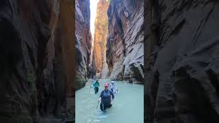 Exploring The Narrows Zion’s Majestic Canyons zionnationalpark hikingadventure water hiking [upl. by Lladnik]