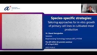 Tailoring approaches for in vitro growth of primary cell lines in cultivated meat production [upl. by Othella]