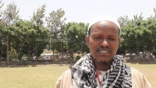 ዩሪዐ ሞላሠሥ እንደ ከብት መኖነት በኢትዮጲያ [upl. by Nawud]