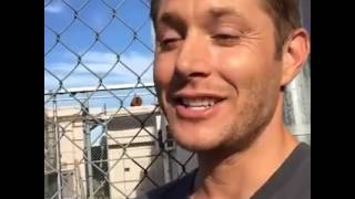 jensen misha gishwhes facebook livestream [upl. by Assenad687]