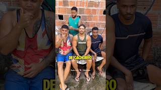 Raças de cachorro sem a Letra A Kkkkkkkkkkk shorts comedia cachorro humor engraçado stop [upl. by Yesllek]