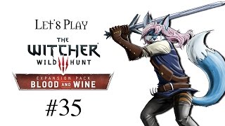 Lets Play The Witcher 3 Blood and Wine 35  Spinnen Spinnen und Spinnen [upl. by Teryn]