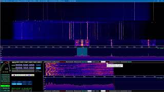 SDRplay RSP1A with HDSDR AV011 [upl. by Airamahs]