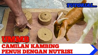 TUTORIAL PEMBUATAN UMMB UREA MOLASSES MULTINUTRIENT BLOCK [upl. by Yul192]