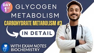 glycogen metabolism biochemistry  glycogenesis biochemistry  glycogenolysis biochemistry [upl. by Llewoh]