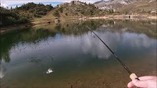 Alle SORGENTI del BREMBO PESCA ALLA TROTA in meravigliosi LAGHI ALPINI tra PORCINI E MARMOTTE [upl. by Coraline]