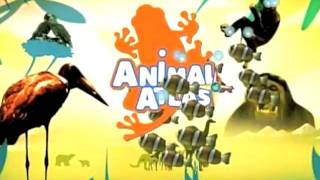 ANIMAL ATLAS Main Title [upl. by Gemma]