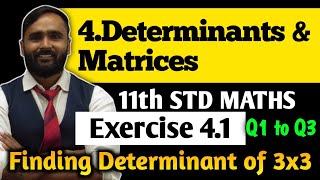 11th MATHS  4DETERMINANTS AND MATRICES  Exercise 41 Q1 to Q3 Finding Determinant [upl. by Solegna]