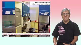 Cytotoxicity Assays 1 In vitro study and cell culture [upl. by Stead522]