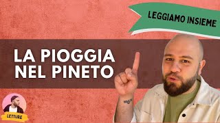 Leggiamo insieme DANNUNZIO  quotLa pioggia nel pinetoquot [upl. by Cirle]