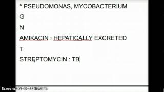 USMLE AMINOGLYCOSIDES [upl. by Tterag]