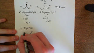 The Aldose Monosaccharides Part 1 [upl. by Isla]