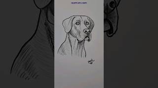 How to Draw Broholmer Dog Easy shorts ytshorts youtubeshorts shortvideo trending viral dog [upl. by Llerehc709]