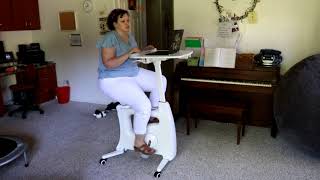 FlexiSpot Desk Bike [upl. by Aiello]