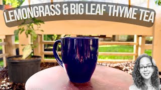 Lemon Grass amp Big Leaf Thyme Tea Made In The Garden [upl. by Latterll332]