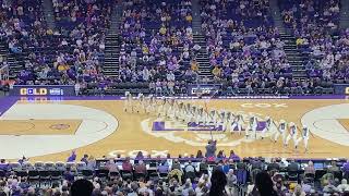 LSU Tiger Girls Michael Jackson National Championship Winning Routine [upl. by Crowns85]