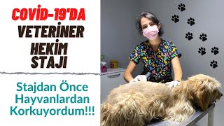 Veteriner Hekim Stajı quothayvanlardan korkuyordumquot [upl. by Karisa]