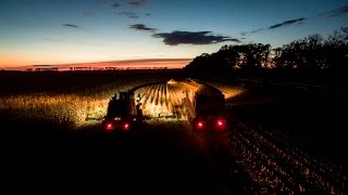 Lohnunternehmen Steenweg  Krone Big X 1100 Deutz Maishäckseln in der Dämmerung  Phantom 3 Pro [upl. by Shermie]