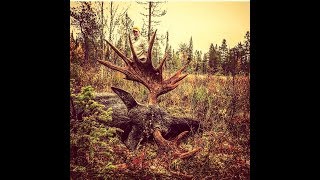 SMÅLANDSJÄGARNA  Älgjakt i Jämtland [upl. by Akkin]