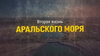 Вторая жизнь Аральского моря  Документальный фильм [upl. by Atinehs]