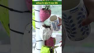 Home Gardening नारियल के खोल में लगाएं पौधे बढ़ाएं घर की खूबसूरती kisanofindia shorts [upl. by Palestine]