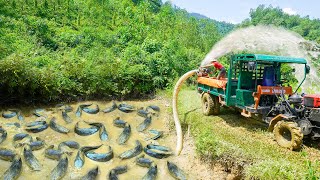 Use High Capacity Pump To Drain Fish Pond  Harvest And Use Truck Transport Many Fish Go To Sell [upl. by Gentille161]